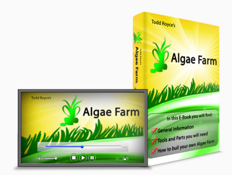 Algae Farm Review – How to Build Alternative Energy