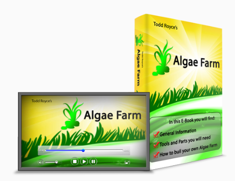 algae farm